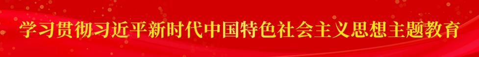 学习贯彻习近平新时代中国特色社会主义思想主题教育